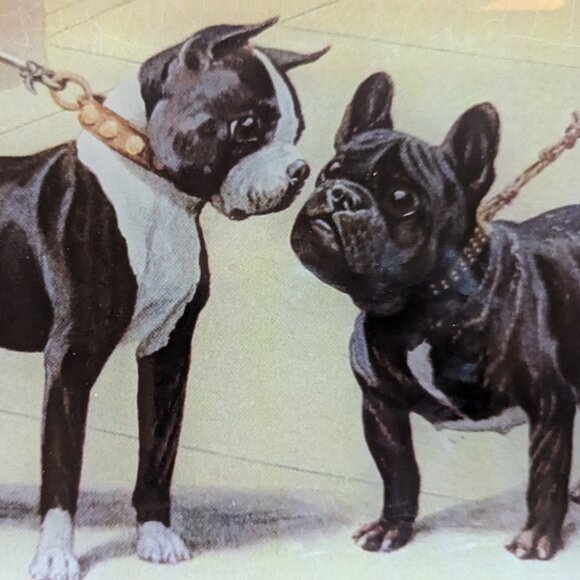 NWT Bulldog and Boxer Dogs MCM Retro Curved Glass Dish Decor Ashland Michael's - Picture 6 of 10